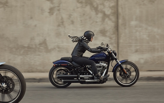 Customização The-One Harley-Davidson®